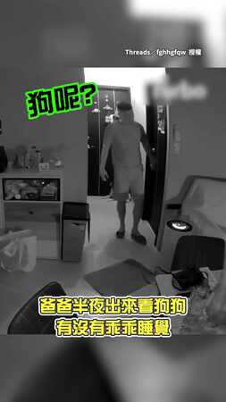 【汪：我就靜靜看著你】爸半夜查勤找不到狗　愛犬一旁滿臉問號看他忙