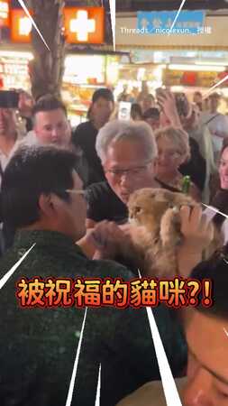 【這貓不簡單了】被黃仁勳抱過之後　貓生直接升級XD
