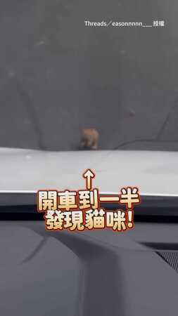 【車底驚見小貓！】想下車救牠卻一直躲　好險最後順利被救出QQ