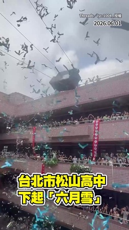 【最狂畢典】松山高中下起「六月雪」　萬片柳絮紛飛歡送畢業生！