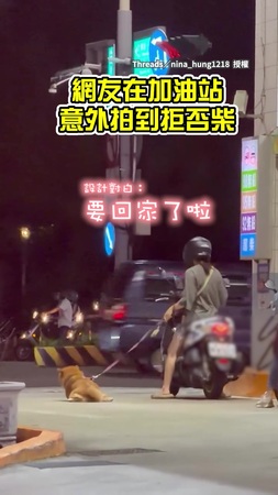 【柴不理你】柴柴在加油站「四輪鎖死」不肯走　網笑：這隻很純