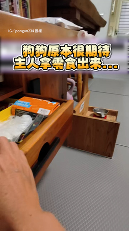 【超級氣噗噗】主人假裝拿零食實則掏指甲刀　小狗看見氣到不想理XD