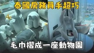 床頭放小費許願要動物園　泰國房務員真的摺出一整座