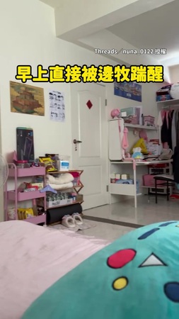 【帶偶出門玩！】邊牧一大早踹醒主人　催起床表情超興奮