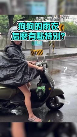 【有遮但不多】媽用小塑膠袋當狗雨衣！　只包頭結果牠全身濕透XD
