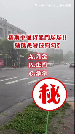 【狂風暴雨也要出門尿！】確認過眼神 這隻狗狗一定是......
