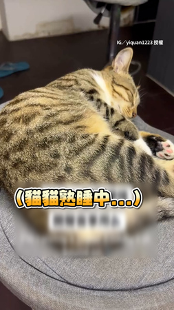 【超萌嚶嚶怪】貓咪突然被奴才吵醒　牠撒嬌回應反應超可愛～