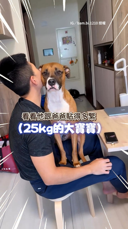 【本汪怕怕】害怕掃地機器人！25kg狗狗坐爸身上貼緊緊XD