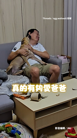 【好想你】狗狗見爸回家尾巴狂搖 媽被當空氣還被牠搧巴掌