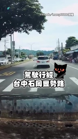 【在吃buffet？】開車開到一半驚見分隔島上居然有羊在吃草！