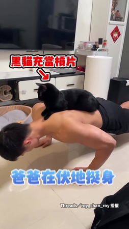 【今天的槓片有點可愛】奴才做伏地挺身 4.5kg黑貓趴身上陪練