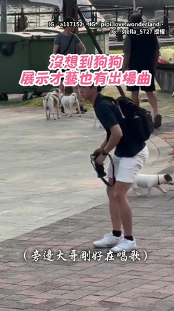 【都是你的舞台了】傑克羅素會溜滑板！穩穩轉彎還搭配旁邊大哥唱歌XD
