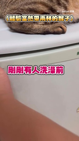 【戴蛙鏡吃芒果】男想體驗當熱帶雨林猴子　帶水果進浴室吃超荒謬XD