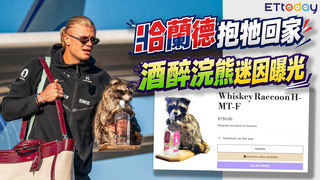 哈蘭德為何抱酒醉浣熊回家？　球場魔人反差萌翻全球　迷因王買迷因來源曝光