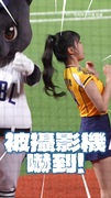 【邊邊：這頂歸我了】黑狗帽子被搶走　戴在自己頭上竟超適合❤