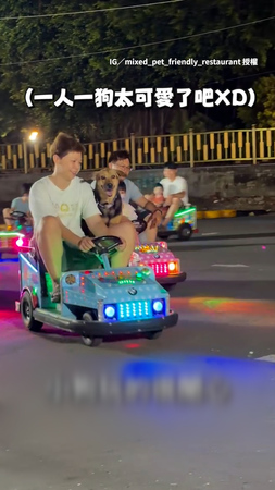 【我也要玩】狗狗見到夜市玩具車滿臉羨慕！如願坐上一臉超開心