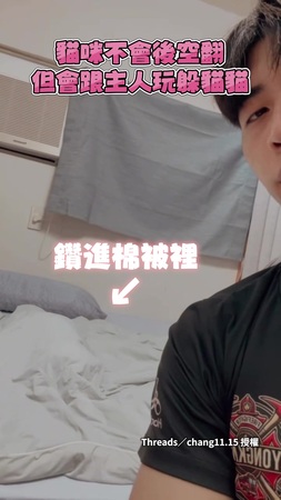 【怎麼這麼快】萌貓鑽棉被玩躲貓貓　下秒被掀開一臉懵XD
