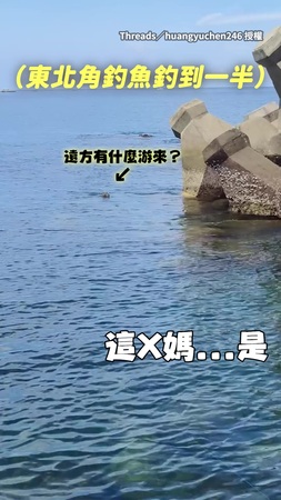 【海裡竟然有山羌】東北角釣魚驚見山羌從大海遠處游來！？