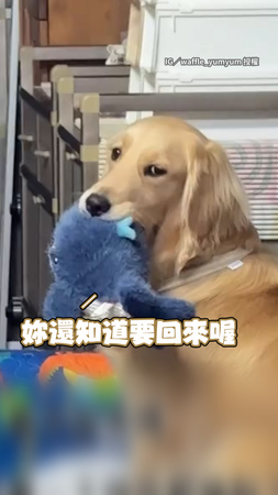 【都不帶我】媽吃完飯回家  就見阿金坐沙發背對她生悶氣