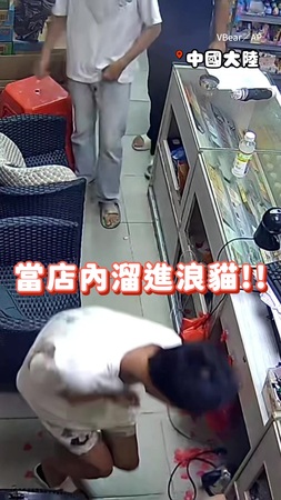 【超商變成追逐戰】男子被貓咪鎖定  　下一秒滿場追著他跑XD