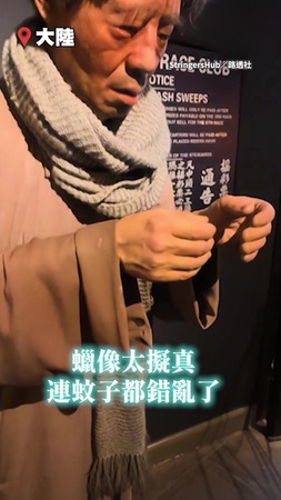 【懷疑蚊生】史上最難進食！　蚊子在蠟像手上吸不到血啦