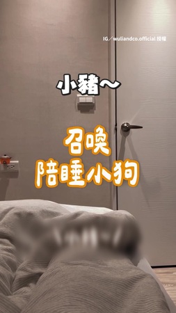 【召喚!】媽房間喊狗狗睡覺 牠下秒自己開門上床討摸摸