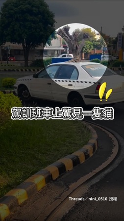【貓咪監考官】駕訓班驚見橘貓悠哉趴車頂　車子開動也不走
