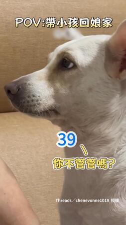 【阿嬤妳管管啦】萌娃超嗨數數！小狗眼神超哀怨像在求救????