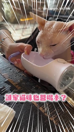 【喝一半噴一半】貓咪喝水變「噴水池」！濺出來的比喝到的還多XD
