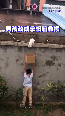 【弟弟太暖了】貓咪受困高處下不來...陸男孩高舉紙箱耐心等待成功救援
