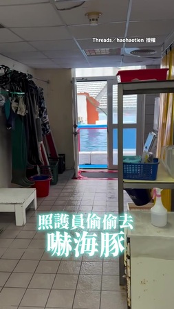 【感覺罵得很髒】照護員躲起來嚇海豚　牠被嚇到原地碎唸網友笑翻