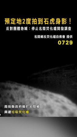【石虎現蹤】預定地2度拍到石虎身影！　反對團體急喊：停止名間焚化爐開發調查