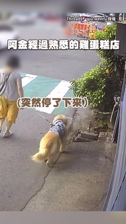 【太香了啦】阿金經過雞蛋糕店堅持不走！聽老闆喊「還多兩顆」秒衝進去XD