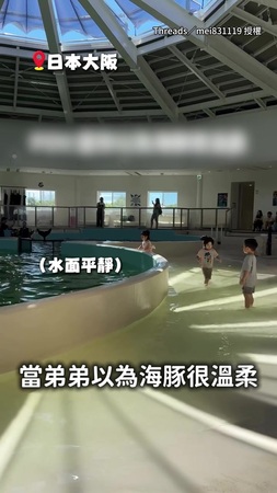 【海豚不按劇本來欸】突然從水下跳出潑水 弟弟嚇到直接跌倒