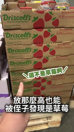 【草莓雷達自動開啟】賣場放再高都被侄子發現 想騙是番茄也沒用XD