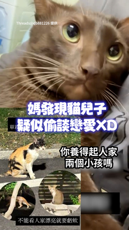 【純愛小貓XD】媽媽發現「兒子偷交女友」　還是離婚美女單親帶兩個小孩