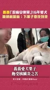 薔薔「忍痛安樂死」16年愛犬 鏡頭前淚崩:下輩子要找到我