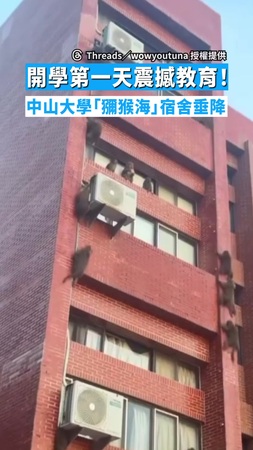【以為是AI】開學第一天震撼教育！　中山大學「獼猴海」宿舍垂降