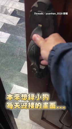 【本來想錄迎接...】沒想到柴犬剛睡醒還在懵？！踩空出糗撞倒電風扇