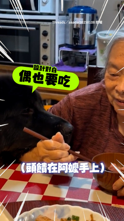 【左右開弓討食】阿嬤在吃飯！獒犬頭饋她手上：偶也要吃