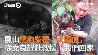 鳳山黑狗騎樓「大噴血」　徐文良趕赴救援：我們回家