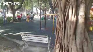 搭訕女友引殺機　醋男公園內刺死情敵逃逸