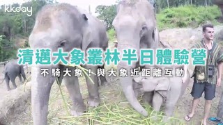 KKday【泰國旅遊】清邁大象叢林半日體驗營