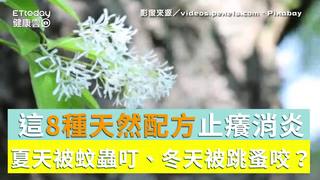 夏天被蚊蟲叮、冬天被跳蚤咬？這8種天然配方止癢消炎