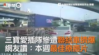 三寶愛插隊慘遭聯結車擠爆 網友讚：本週最佳療癒片