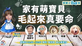 我愛小Pet孩 ep40 家有萌寶貝 毛起來真要命