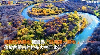 圖片說故事：十月遠行尋覓額爾古納濕地金秋仙境