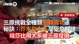 三原挑戰全種類迴轉壽司！　秘訣：芥末別太多享受魚鮮味