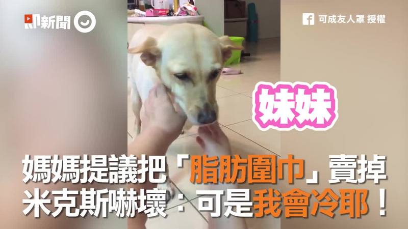 信號發射中 黑暗中貓咪眼睛發光 秘密原因 用途超廣泛 Ettoday寵物雲 Ettoday新聞雲 信號發射中 黑暗中貓咪眼睛發光 秘密原因 用途超廣泛 Ettoday寵物雲 Ettoday新聞雲