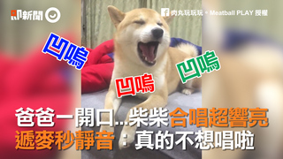 爸爸一開口...柴柴合唱超響亮  遞麥秒靜音：真的不想唱啦